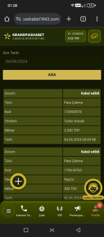 Screenshot_20240604-012802.png