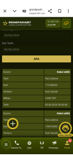 Screenshot_20240606-020625.png
