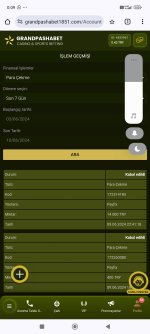 Screenshot_2024-06-10-00-09-41-593_com.android.chrome.jpg