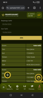 Screenshot_20240610-001204.png