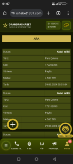 Screenshot_20240610-010709.png