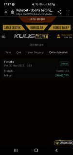 Screenshot_20220630-171743_Samsung Internet.jpg