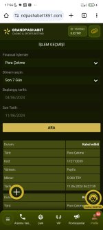 Screenshot_2024-06-11-17-56-25-160_com.android.chrome.jpg