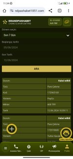 Screenshot_2024-06-12-11-34-47-405_com.android.chrome.jpg