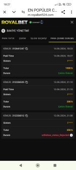 Screenshot_2024-06-14-18-27-54-973_com.android.chrome.jpg