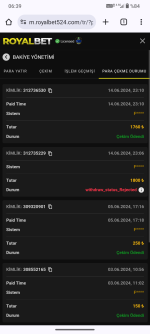 Screenshot_20240615-063929.png