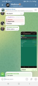 Screenshot_20240615-140227_Telegram.jpg