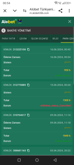 Screenshot_20240616-005427.png