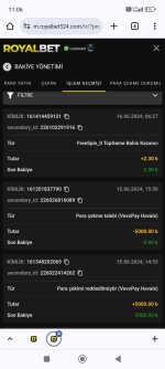 Screenshot_2024-06-16-11-06-37-971_com.android.chrome.jpg