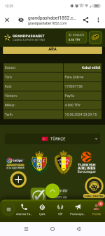 Screenshot_20240616-122507.png