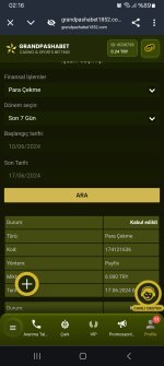 Screenshot_20240617_021619_Chrome.jpg
