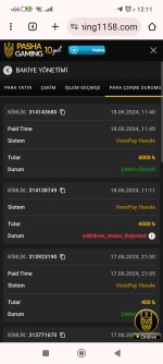 Screenshot_2024-06-18-12-11-04-429_com.android.chrome.jpg