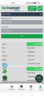 Screenshot_2024-06-19-17-37-14-53_40deb401b9ffe8e1df2f1cc5ba480b12.jpg