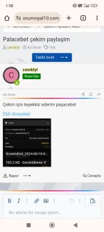 Screenshot_2024-06-16-01-58-01-634_com.android.chrome.jpg