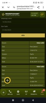 Screenshot_2024-06-21-03-43-33-495_com.android.chrome.jpg