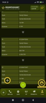 Screenshot_2024-06-23-19-22-34-135_com.android.chrome.jpg