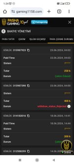 Screenshot_2024-06-25-01-24-48-831_com.android.chrome.jpg