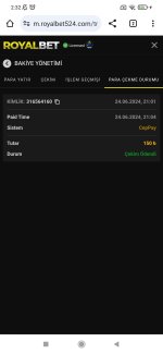 Screenshot_2024-06-25-02-32-24-940_com.android.chrome.jpg