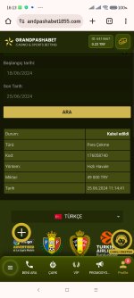 Screenshot_2024-06-25-16-13-31-253_com.android.chrome.jpg
