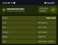 Screenshot_2024-06-25-20-54-17-461_com.android.chrome-edit.jpg