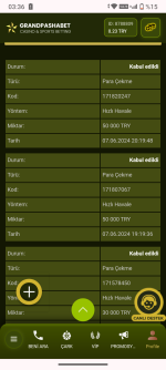 Screenshot_20240628-033629.png