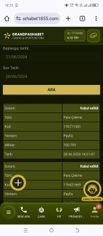Screenshot_20240628-182551.jpg
