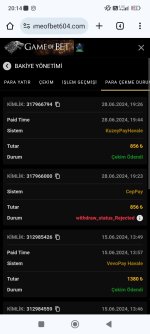 Screenshot_2024-06-28-20-14-50-866_com.android.chrome.jpg