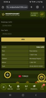 Screenshot_20240629-055815_Chrome.jpg