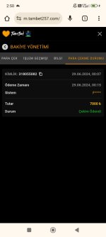 Screenshot_2024-06-29-02-50-54-614_com.android.chrome.jpg