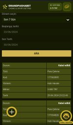 Screenshot_2024-06-30-00-26-37-478_com.android.chrome-edit.jpg