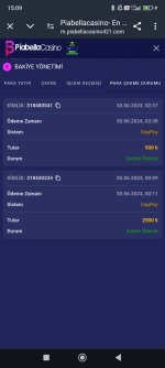 Screenshot_2024-06-30-15-09-19-325_com.android.chrome.jpg