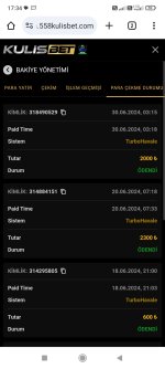 Screenshot_2024-06-30-17-34-11-832_com.android.chrome.jpg