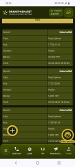 Screenshot_20240630_222223.jpg