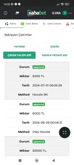 Screenshot_2024-07-01-14-32-41-594_com.android.chrome.jpg