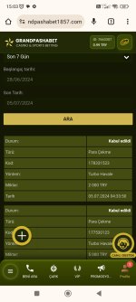 Screenshot_2024-07-05-15-03-38-527_com.android.chrome.jpg