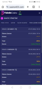 Screenshot_20240707_191533_com.android.chrome.jpg