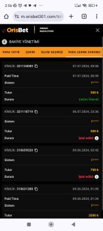 Screenshot_2024-07-08-02-56-11-667_com.android.chrome.jpg