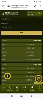 Screenshot_2024-07-09-13-23-18-939_com.android.chrome.jpg