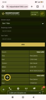 Screenshot_2024-07-09-23-53-20-346_com.android.chrome.jpg
