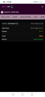 Screenshot_20240710_112311_com.android.chrome.jpg
