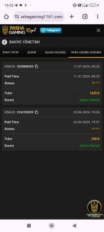 Screenshot_2024-07-11-13-22-57-474_com.android.chrome.jpg