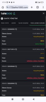 Screenshot_2024-07-11-17-11-51-739_com.android.chrome.jpg