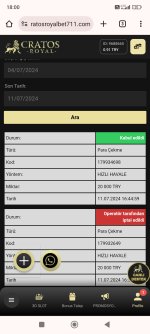 Screenshot_2024-07-11-18-00-46-884_com.android.chrome.jpg