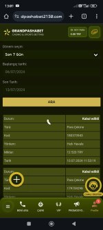 Screenshot_2024-07-13-13-01-47-932_com.android.chrome.jpg