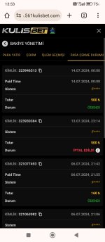 Screenshot_2024-07-14-13-53-22-152_com.android.chrome.jpg