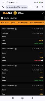 Screenshot_2024-07-14-21-11-24-251_com.android.chrome.jpg