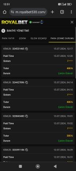Screenshot_2024-07-15-12-51-13-867_com.android.chrome.jpg