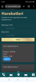 Screenshot_20240716-025928.jpg