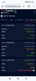 Screenshot_2024-07-16-16-26-58-527_com.android.chrome.jpg
