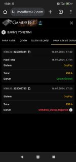 Screenshot_2024-07-16-17-54-38-108_com.android.chrome.jpg